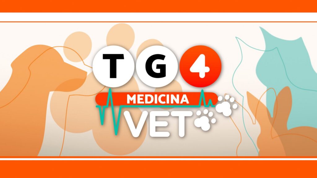 tg4 medicina vet
