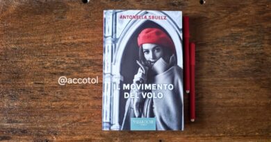 il movimento del volo